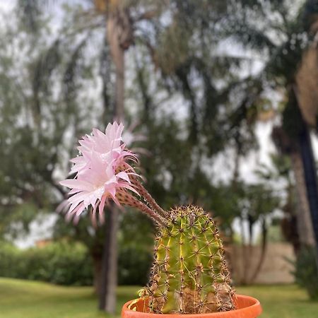 צ'יניזי Villa Piruzzu Cv Torre Mulinazzo App P מראה חיצוני תמונה